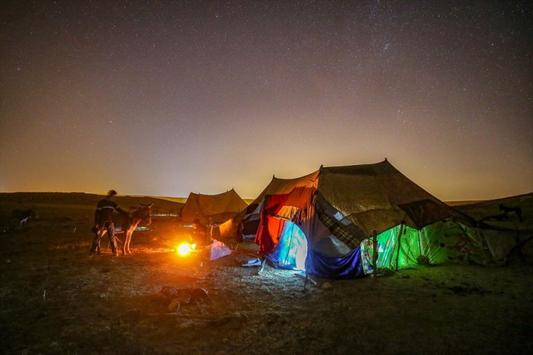 Vegera koçeran ji zozanên Wanê