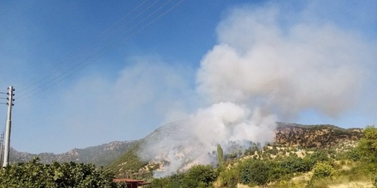 Bi vîdyo bibîne.. Bordoman kirina PKK’ê li navçeya Nehlê