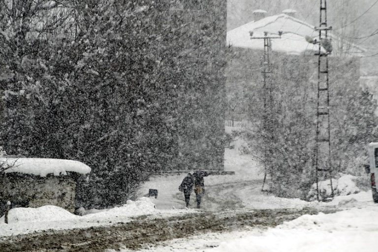 BERFÊ RÊKÊN CULEMÊRGA BAKURÊ KURDISTANÊ GIRTIN