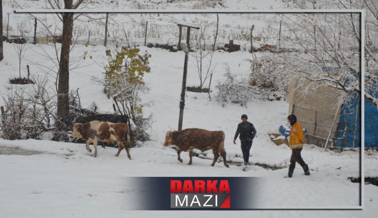 BERFÊ RÊYA 280 GUNDÊN BAKURÊ KURDISTANÊ GIRT