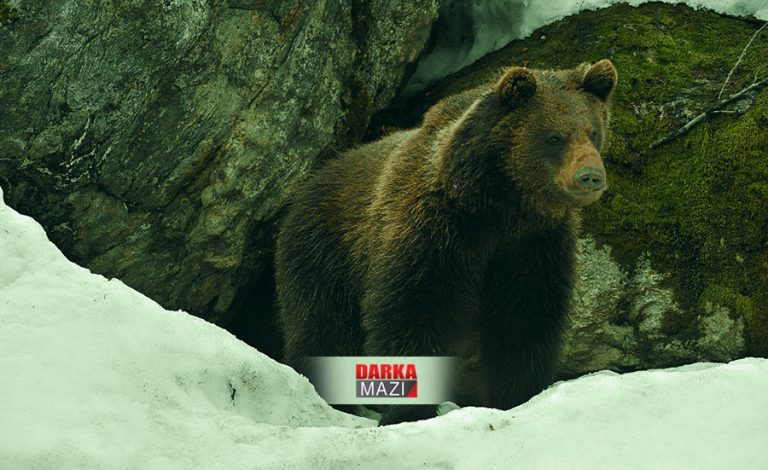 ÇIMA HIRÇ ZÛTIR JI XEWA ZIVISTANÊ HIŞYAR BÛNE?