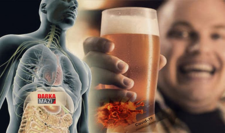 KORONAYÊ BERHEM ANÎNA MEYÊ LI WILATEK ÎSLAMÎ HELAL KIR