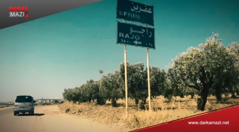 Hinekî maye Efrîn ji dar zeytûnan vala bibe