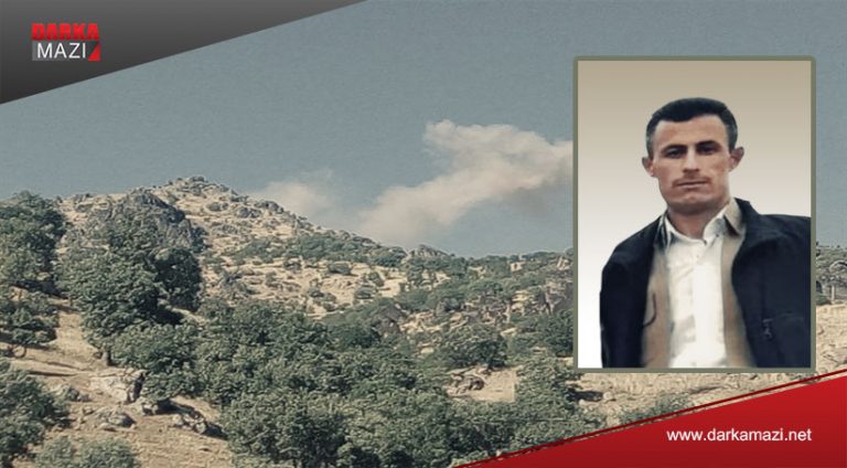 Balefirên Tirkiyê şivanek li Başûrê wilat şehîd kir