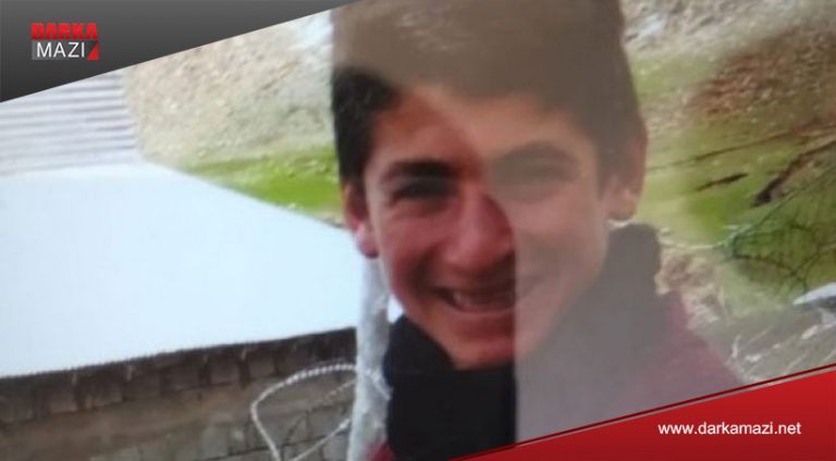 Leşkeran şivanê biçûk birîndar kir