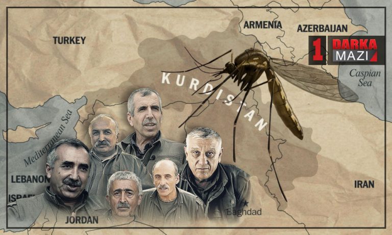 Nerîna PKK ê bo parçeyên din ên Kurdistanê, nerîna miftixwer bo mêhvandar