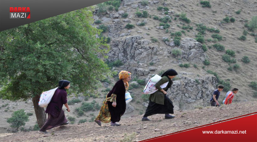 Li Şemzînan bêrîvan ji bona pez bidoşin bi kîlomêtroyan rê diçin