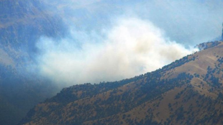PKK ê 7 ciwanên din yên Kurd bi kuştin dan