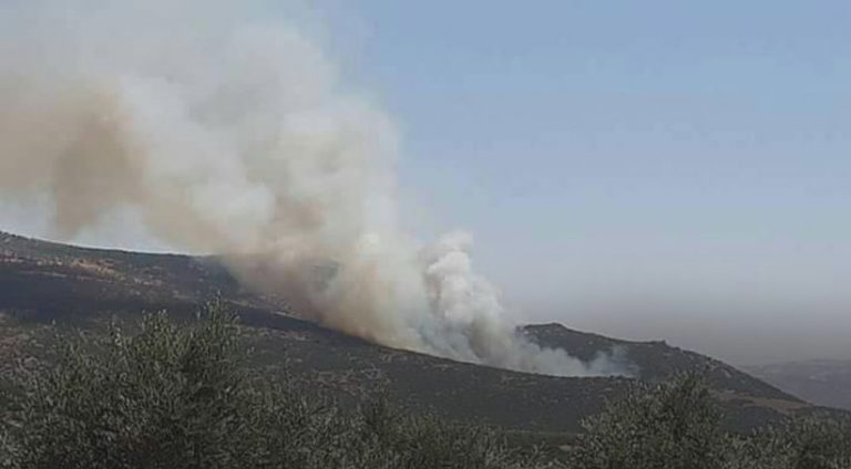Arteşa Tirkiyê û girûpên wê Efrîn bordoman kir