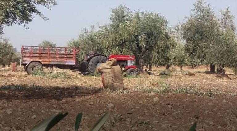 Efrîn.. Çekdarên ser bi Tirkiyê 2 bira revandin