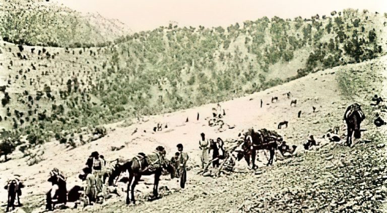 Navên wan şehîdan evin: Idrîs Cercîs bi kod navê Ehmed Kadir - dayîkbûn 1953 / gundê Berbîrê li devera Şêxan. Se'dulla Avdel Se'do - dayîkbûn 1954 / gundê Xilbîşê li devera Bamernê. Mihemed Hemdî - dayîkbûn 1949 / gundê Wermêlê li devera Bamernê. Nizar Mihemed Silêman - dayîkbûn 1966 / gundê Xirabîya li devera Zawîte. Xalid Adem Hisên - dayîkbûn 1966 / gundê Wermêlê li devera Bamernê. Nezmî #hmed Çolî, dayîkbûn 1969 / gundê Wermêlê li devera Bamernê.