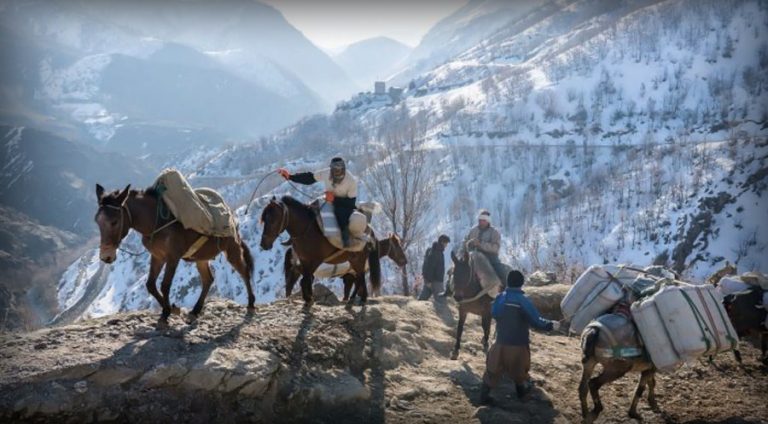 Sipayê Pasdaran gule berdanê û kuşt