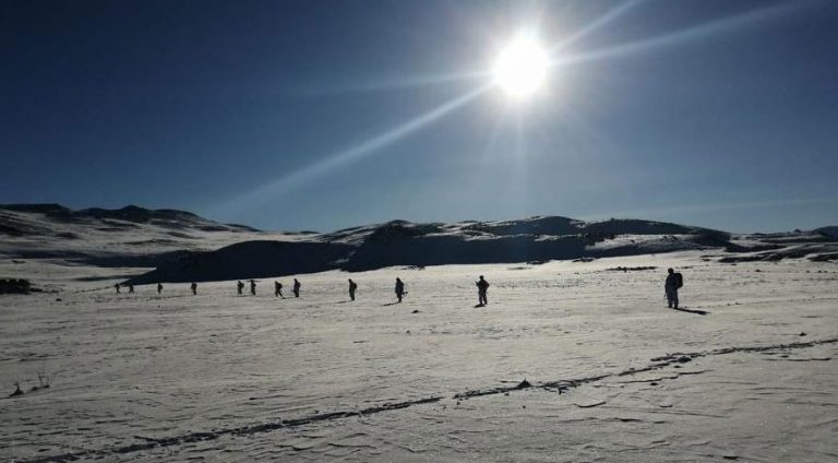 1620 esker li Mêrdînê û Mûşê tên belave kirin