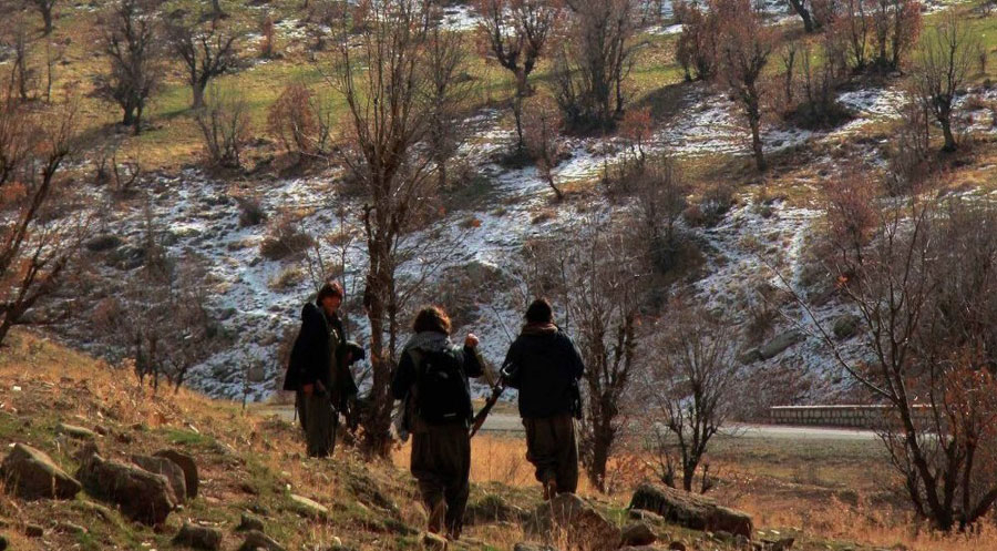 ‌Hejmarek çekdarên PKKê li Kanî Masê hatin kuştin