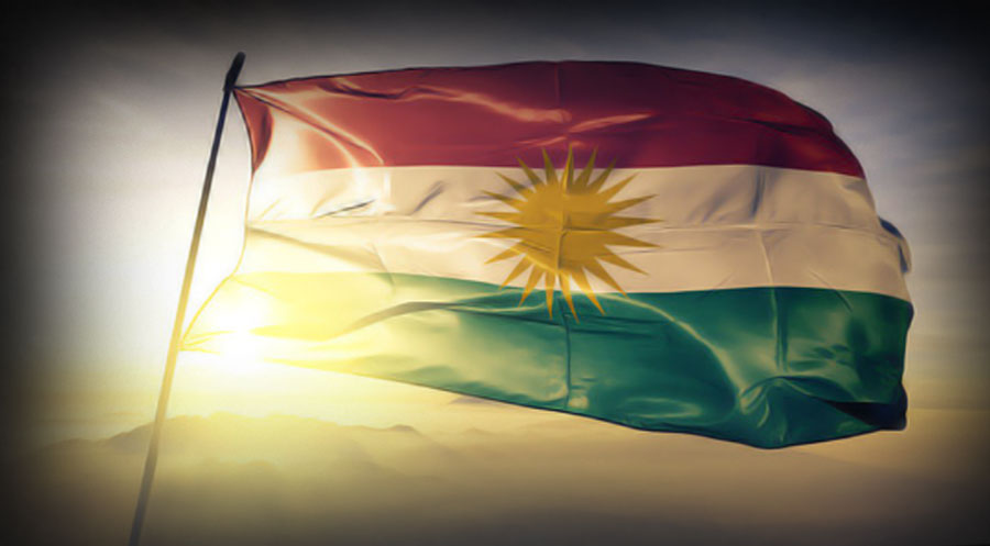 PAK, PDK-Bakur, Pêlkurd, PSK, Tevgera Demokratîk a Kurdistanê
