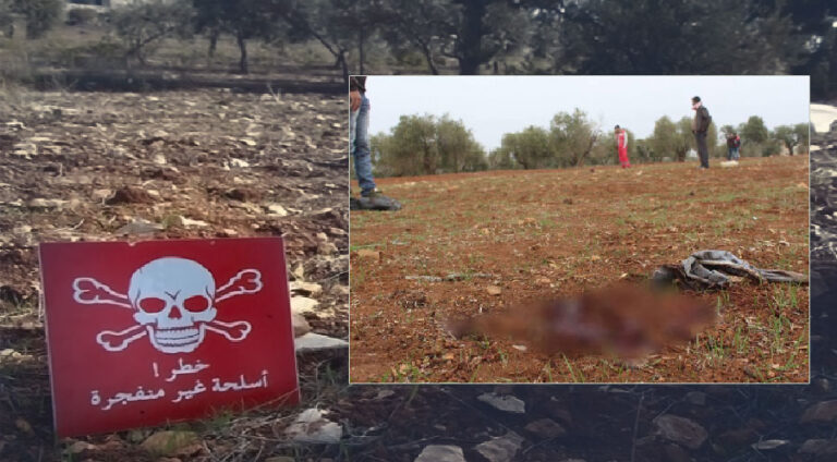 Di teqîna mayînekê de 2 zarok şehîd bûn