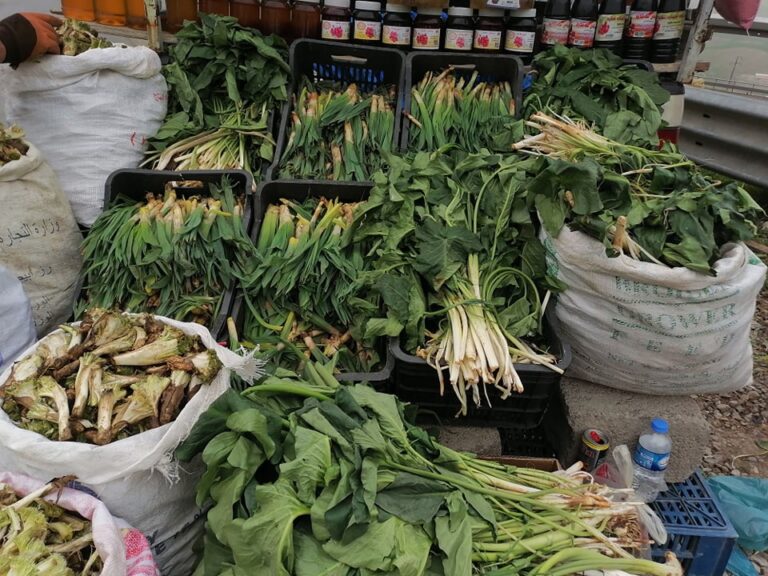 Li Başûrê Kurdistanê tevî kirîza abûrî kirîza giyayên biharî jî pedya bûye