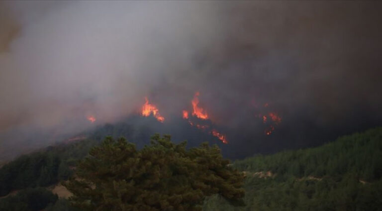 Operasyonên leşkirî xwezaya Amed û Xarpêtê wêran kirîye