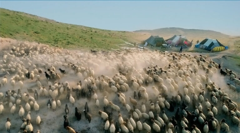 Parêzgariya Mûşê zozan li koçerên Amedê qedexe kir