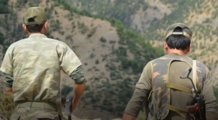 Cerdevanek li navçeya Berwarîya hat kuştin