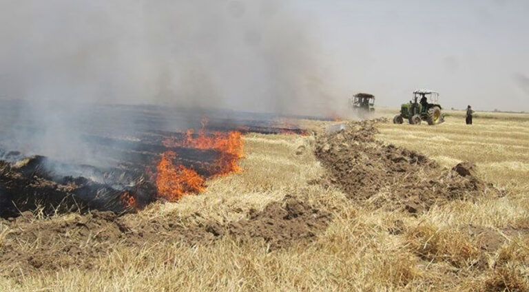 30 hêktar zeviyên genim li Mehabadê şewitîn