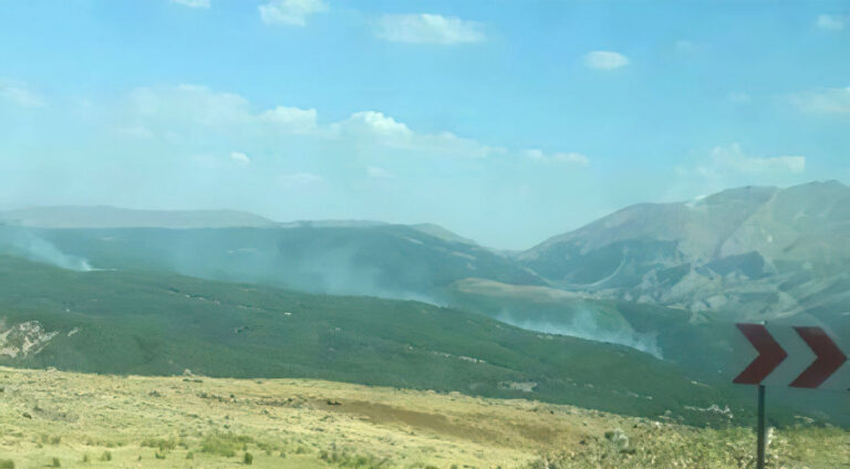 Şewata daristanên li Mûşê berdewam e