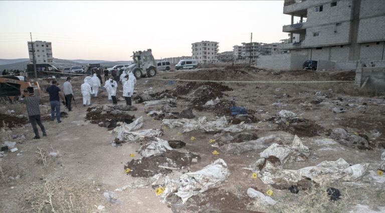 Goreke bi kom li nav Efrînê hate dîtin