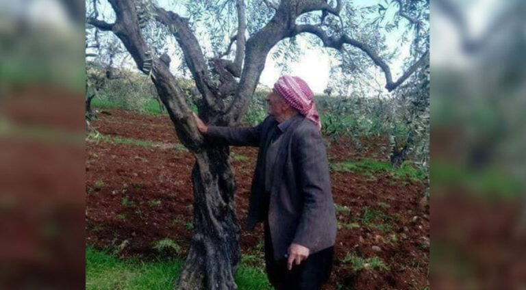 160 malbatên kurd ji Şehbayê vegeriyane Efrînê