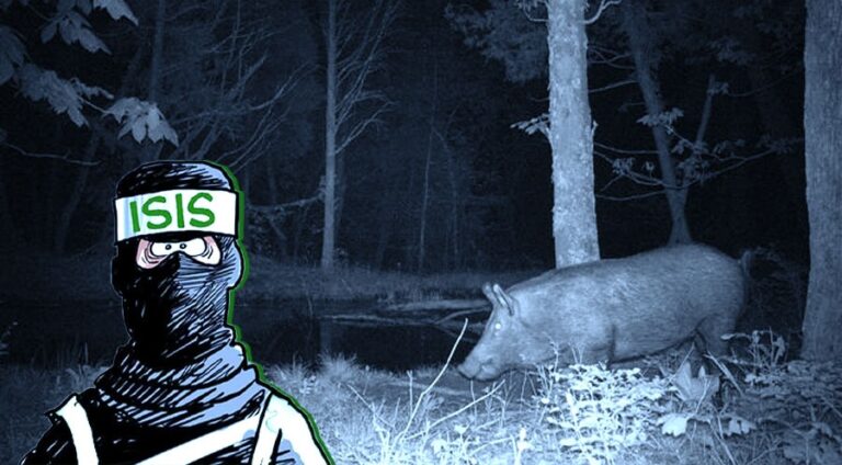 Li Kerkûkê li şûna berazan elektirîkê bi terorîstekî DAIŞê girt