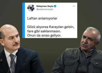 Soylu ji bo Karayilan: Wekî mişkan xwe veneşêre!