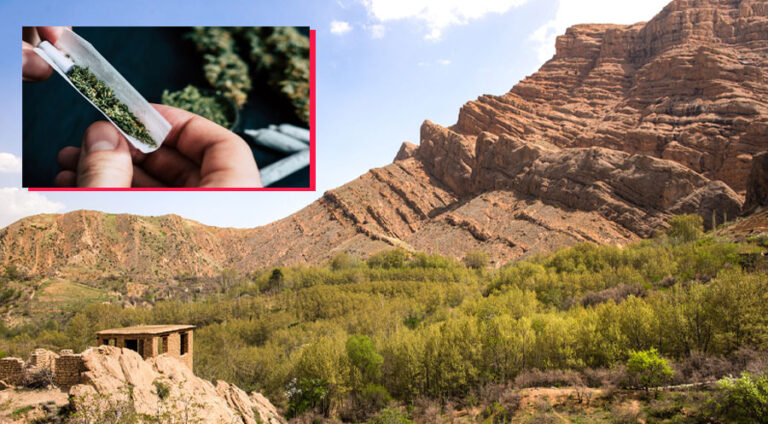 Marijuana-iran-pasdar (1)