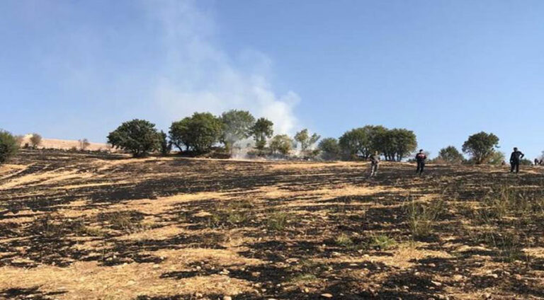 Agir berda zeviya xwe lê bi xwe şewitî