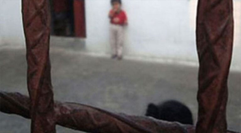 Li Tirkiye bi sedan zarok û pitik ligel dayikên xwe di girtîgehan de ne