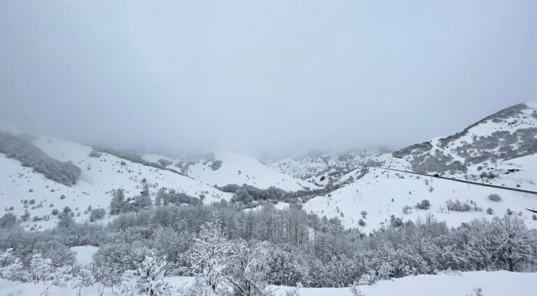 berf-befir-kurdistan