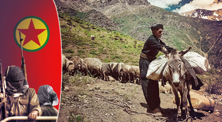 Çekdarên ‌PKKê dest bi kuştina kerên xelkê kir!