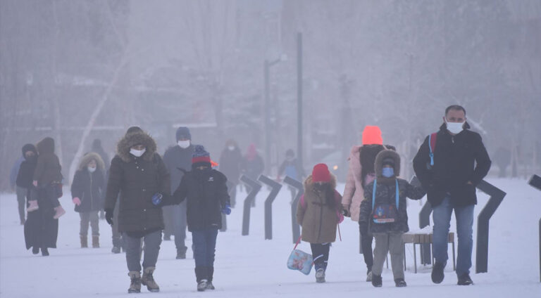 befir-berif-bakur-kurdistan
