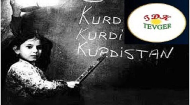 Bang û hewarek ji bo zimanê dayikê!