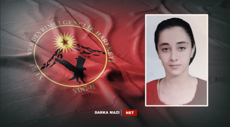 Çeteyên bi navê "Ciwanên Şoreşger" zaroyek din jî revand