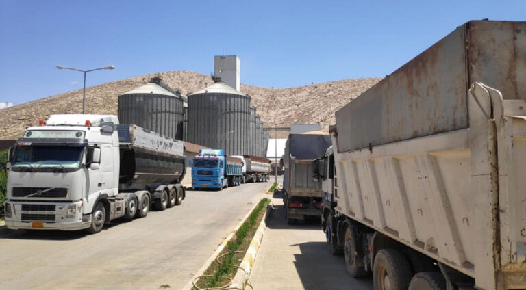 Li Herêma Kurdistanê 158 hezar ton genimê cotkaran hat wergirtin