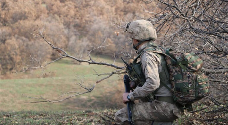 Artêşa Tirkiyê li Şemzînanê dest bi operasyonê kir