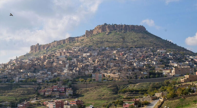 Li Mêrdînê ji bo 15 rojan hemû cure çalakî hatin qedexe kirin