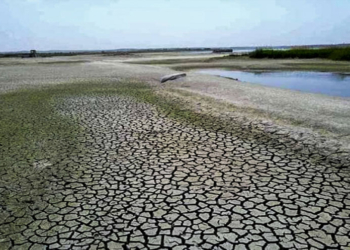 Bexda: Tirkiye çemê Feratê ziwa dike 