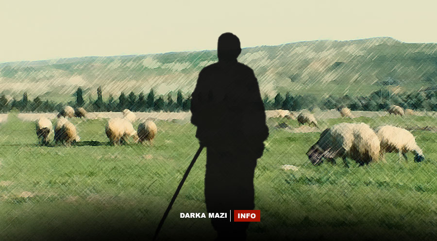 Di nêvbera PKK’ê û Malbateke Pişderî de alozî derket