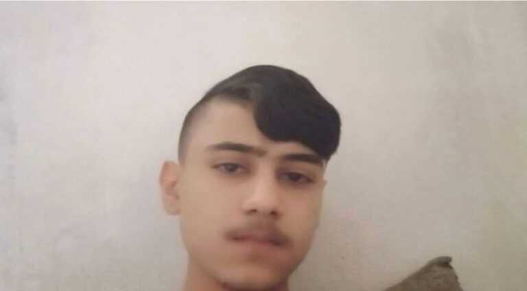 Çeteyên bi navê "Ciwanên Şoreşger" zaroyeke din jî revand
