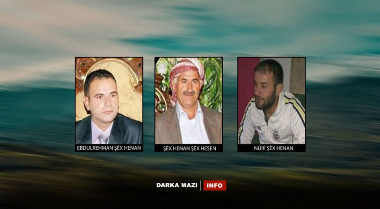11 sal li ser şehîdkirina Şêx Henan bi destê çekdarên PYDê re derbas dibin