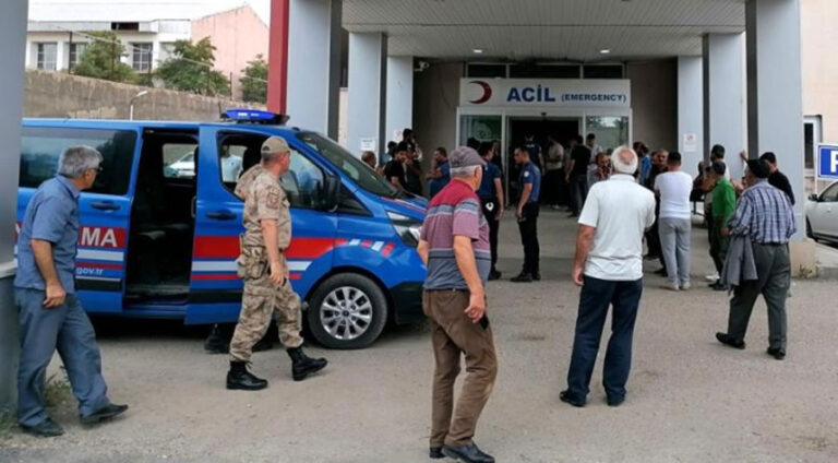 Li Erzeromê 2 zarokên keç di gola avdana sewalan de xeniqîn