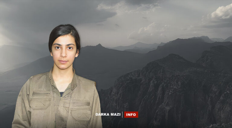 pkk-kec-zarok-kurd-info