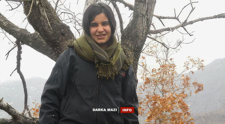 pkk-zarok-info