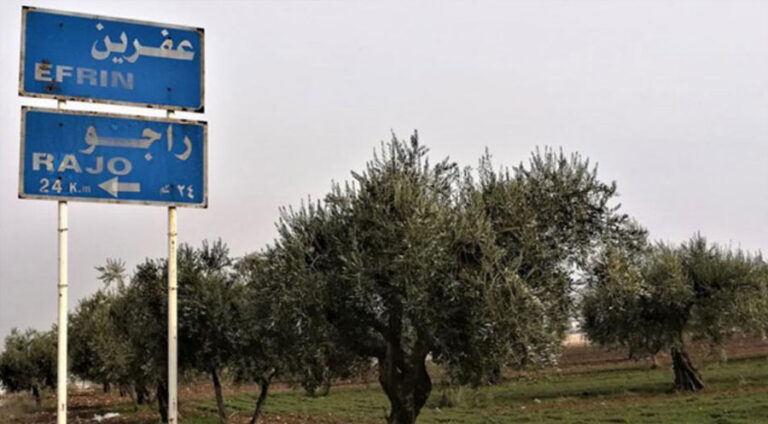 Çekdarên Feyleq Elşam li gundekî Efrînê zarokekî kurd eşkence kir