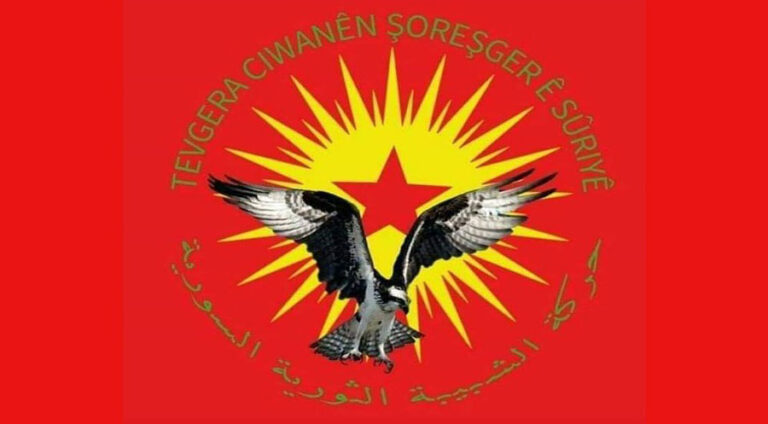 Çeteyên bi navê “Ciwanên Şoreşger” zarokekî din li Kobanê revand